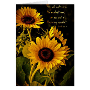 HewillnotcrushthezwakestreedZazzle