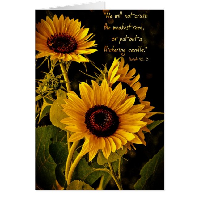 HewillnotcrushthezwakestreedZazzle (Voorkant)