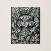 Hexacoralla 69 - Ernst Haeckel 8x10 Legpuzzel (Verticaal)