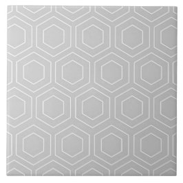 Hexagon Pattern Grey and White Modern Ceramic Tile Tegeltje