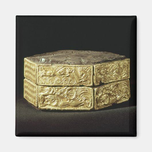 Hexagonale pyxis gedecoreerd met dieren magneet (Voorkant)