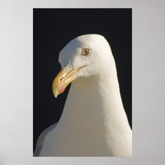 Hey Big Fella Print (Voorkant)