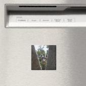 Hey Daar Giraffe Magneet (Insitu (Vaatwasser))