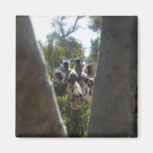 Hey Daar Giraffe Magneet (Voorkant)