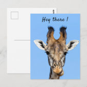 Hey daar grappige foto van de Giraffe met tekst Briefkaart (Voorkant / Achterkant)