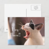 "Hey Daar" Ongeduldige Kat Groet Briefkaart (Voorkant / Achterkant)
