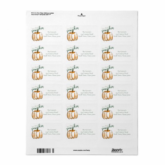 Hey Daar Pumpkin Thanksgiving Gepersonaliseerd Etiket (Full Sheet)