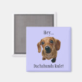 "Hey... Dachshunds Rule!" Magneet (Voorkant / Achterkant)