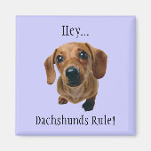 "Hey... Dachshunds Rule!" Magneet (Voorkant)