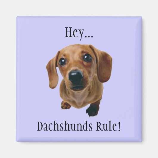 "Hey... Dachshunds Rule!" Magneet (Voorkant)