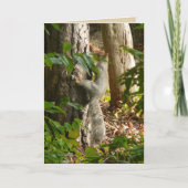 Hey I'm Hydin Kaart (Voorkant)