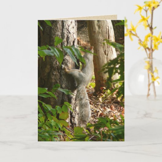 Hey I'm Hydin Kaart (Gele Bloem)