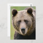 Hey Je Beer Briefkaart (Voorkant / Achterkant)