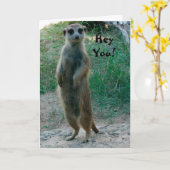 Hey jij Meerkat Verjaardag Kaart (Gele Bloem)