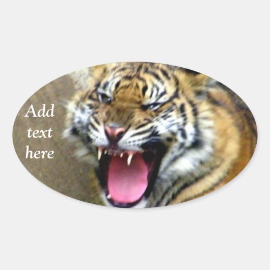 Hey_ Ovale Sticker (Voorkant)