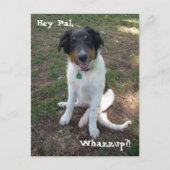 Hey, Pal, Whazzup? Briefkaart (Voorkant)