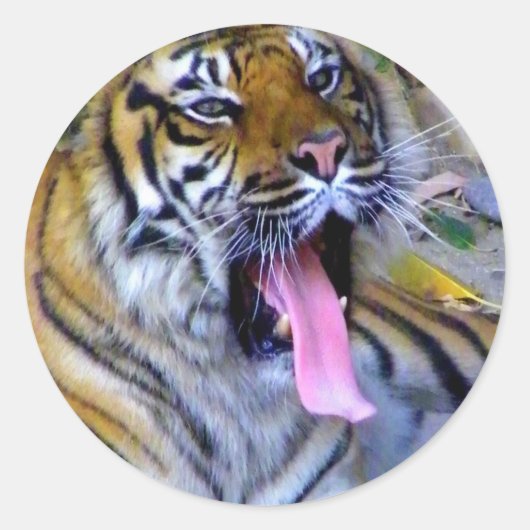 Hey_ Ronde Sticker (Voorkant)