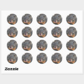 Hey schattig grappig eekhoorn ronde sticker (Vel)