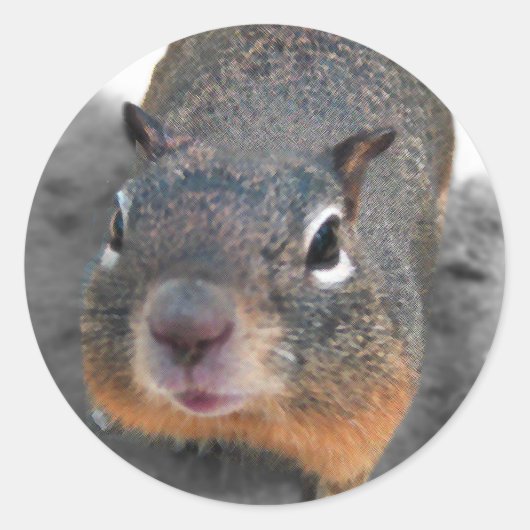 Hey schattig grappig eekhoorn ronde sticker (Voorkant)