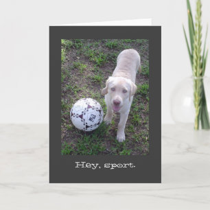 Hey, Sport. Het gele Puppy van het Laboratorium Al Kaart