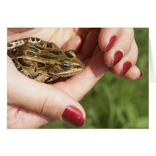 HFTH-011205-MFM-07 (Voorkant Horizontaal)