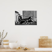 HH-46 Zee Knight ~ Amerikaanse militaire helikopte Poster (Keuken)