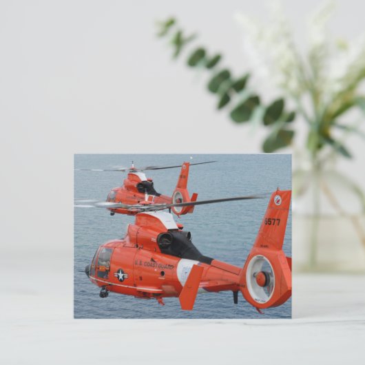 HH-65 Dolfine Briefkaart (Staand voorkant)