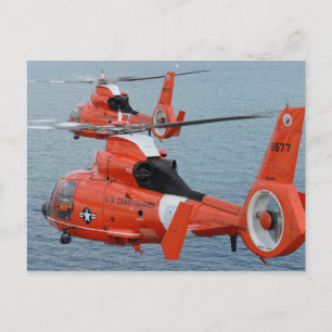 HH-65 Dolfine Briefkaart