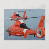 HH-65 Dolfine Briefkaart (Voorkant)