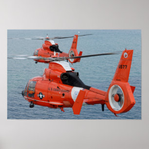 HH-65 Dolfine Poster