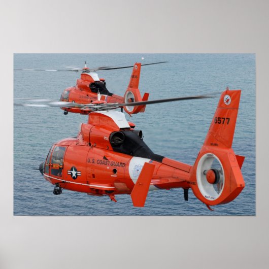 HH-65 Dolfine Poster (Voorkant)