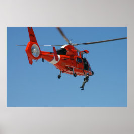 HH-65 Dolfine Poster