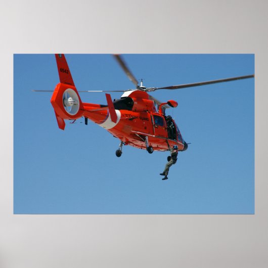 HH-65 Dolfine Poster (Voorkant)