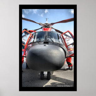 HH-65-neus Poster
