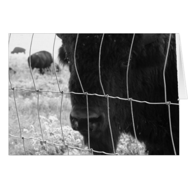 Hi (Voorkant Horizontaal)