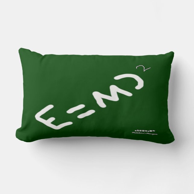 HI54EDU Fysieke Relativiteit RVC Kussen (Voorkant)