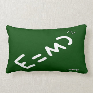 HI54EDU Fysieke Relativiteit RVC Kussen