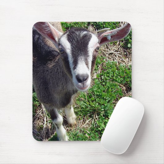 Hi Daar Goat Muismat (Met muis)