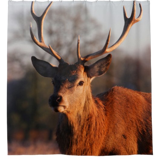 HI DEER DOUCHEGORDIJN (Voorkant)