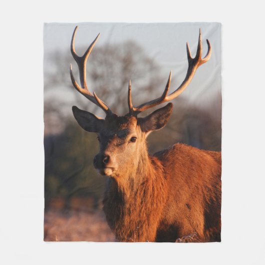 HI DEER FLEECE DEKEN (Voorkant)