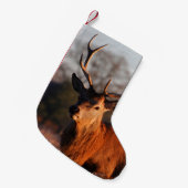 HI DEER KLEINE KERSTSOK (Voorkant (Hangend))