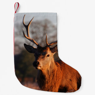 HI DEER KLEINE KERSTSOK