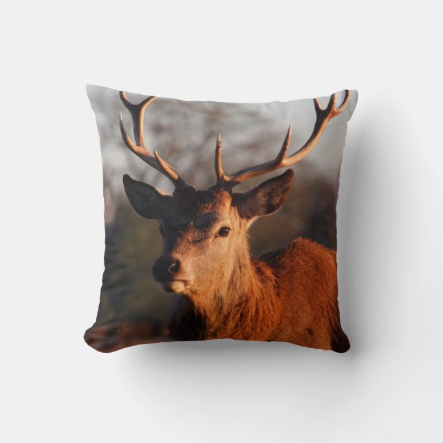 HI DEER KUSSEN (Voorkant)