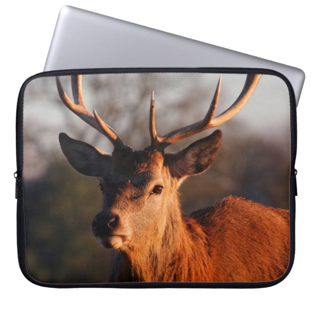 HI DEER LAPTOP SLEEVE (Voorkant)