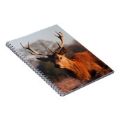 HI DEER NOTITIEBOEK (Rechterzijde)