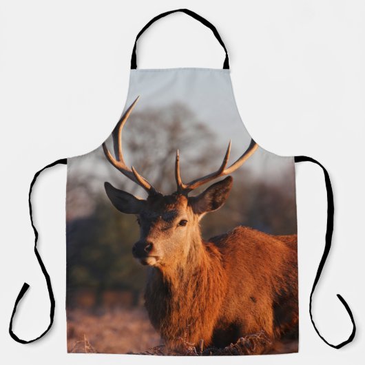 HI DEER SCHORT (Voorkant)