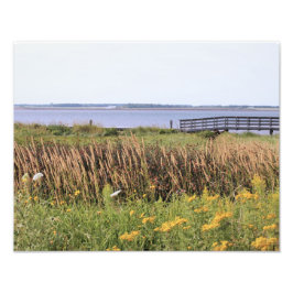 hi def foto , oceaan , brug , wilde bloemen foto afdruk