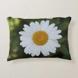 Hi-def foto van een Daisy Accent Kussen