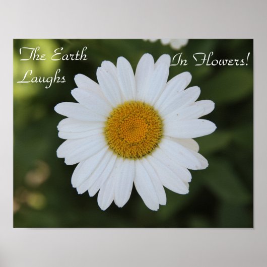 Hi-def foto van een Daisy, "Earth Laughs in Poster (Voorkant)