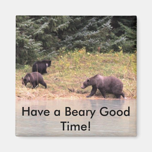Hi-def Foto van Moeder Grizzly en 2 Cubs Magneet (Voorkant)